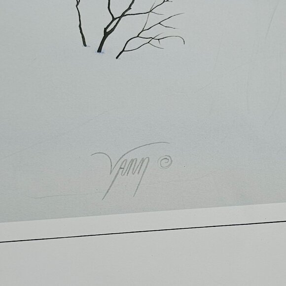 Spirit Of The Rockies Signed Donald Vann 1994 Native American Wolf Art Print - Picture 3 of 8